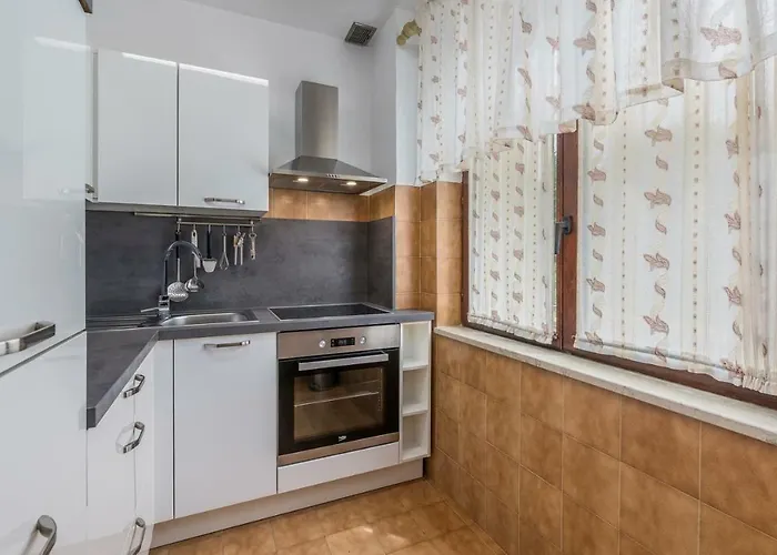 Guest house Rakovac 3*